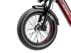 Heybike Ranger 3.0 Pro - Green Vista Living