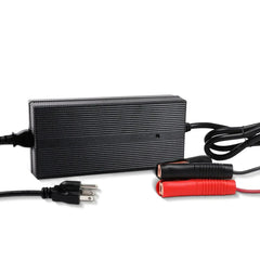 Renogy 12V 20A/24V 10A AC-to-DC LFP Portable Battery Charger - Green Vista Living