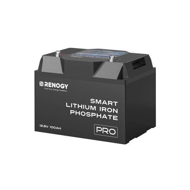 Renogy 12V 100Ah Pro Smart Lithium Iron Phosphate Battery w/Bluetooth & Self-heating Function - Green Vista Living
