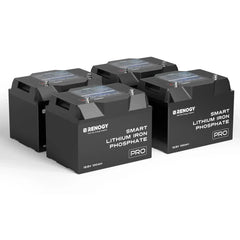 Renogy Pro - 12V 100Ah/200Ah Smart LiFePO4 Battery w/ Bluetooth & Self-Heating - Green Vista Living