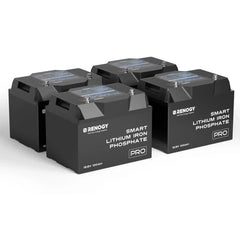 Renogy Pro - 12V 100Ah/200Ah Smart LiFePO4 Battery w/ Bluetooth & Self-Heating - Green Vista Living