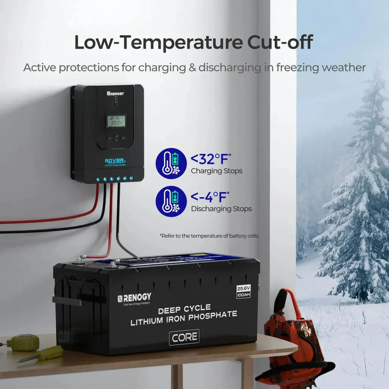 Renogy Core - 24V 100Ah Deep Cycle Lithium Iron Phosphate Battery - Green Vista Living