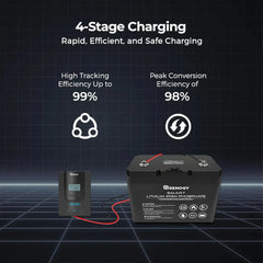 Rover Li 20 Amp MPPT Solar Charge Controller - Green Vista Living