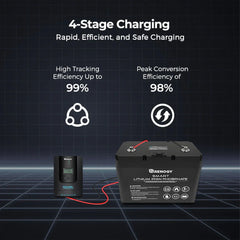 Renogy Rover Li 30 Amp MPPT Solar Charge Controller w/ Renogy ONE Core - Green Vista Living
