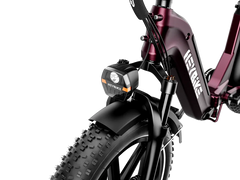 Heybike Ranger S - Green Vista Living