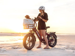 Heybike Ranger S - Green Vista Living