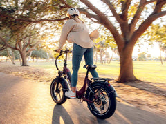 Heybike Ranger S - Green Vista Living