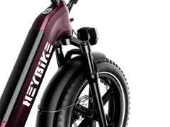 Heybike Ranger S - Green Vista Living