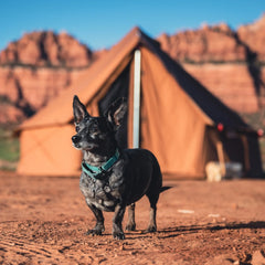 Regatta Bell Tent - Green Vista Living
