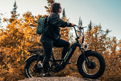 Rambo Revolt AWD Step Thru Bike