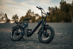 Rambo Revolt AWD Step Thru Bike