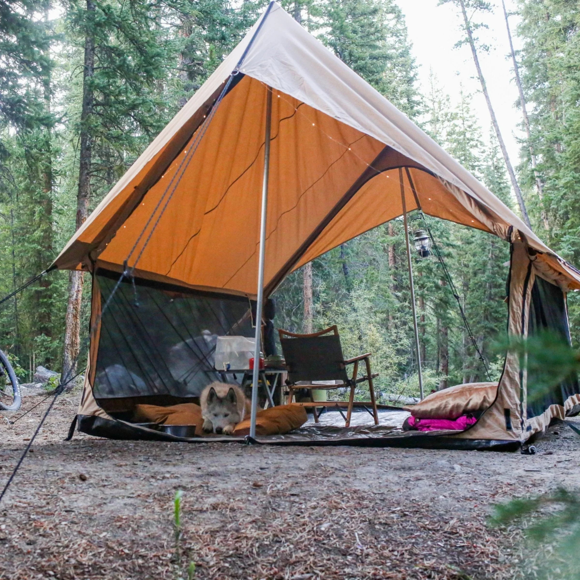 Rover Scout Tent - Green Vista Living
