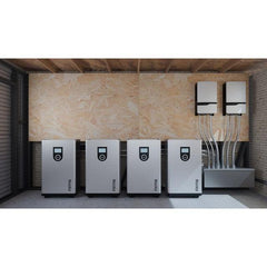 RUiXU Lithi2-16 Battery Energy Storage IP65 outdoor | Self-Heating | 51.2V / 314Ah / 16kWh Capacity - Green Vista Living