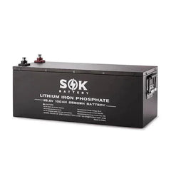 SOK Battery 24V 100Ah LiFePO4 Battery | 2,560wH / 2.56kWh Lithium Solar Battery - Green Vista Living