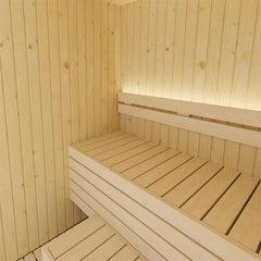 SaunaLife Model X2 Indoor Sauna | 2 Persons - Green Vista Living