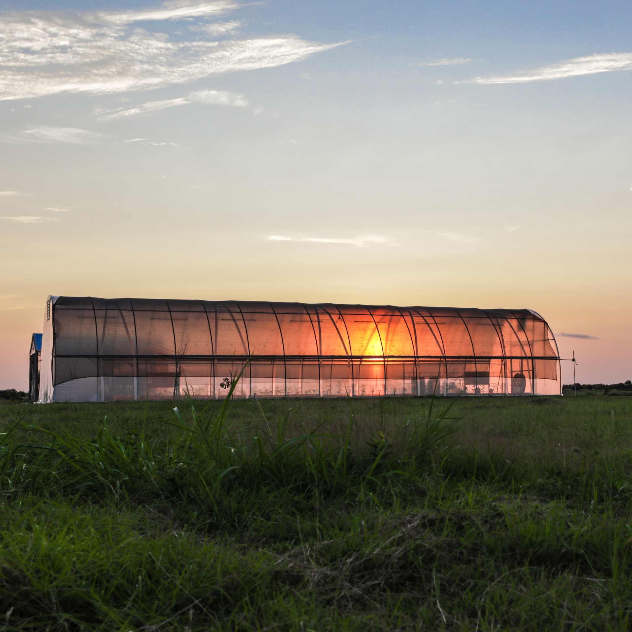 Bootstrap Farmer All-Metal Round Hoop House Kit - Green Vista Living
