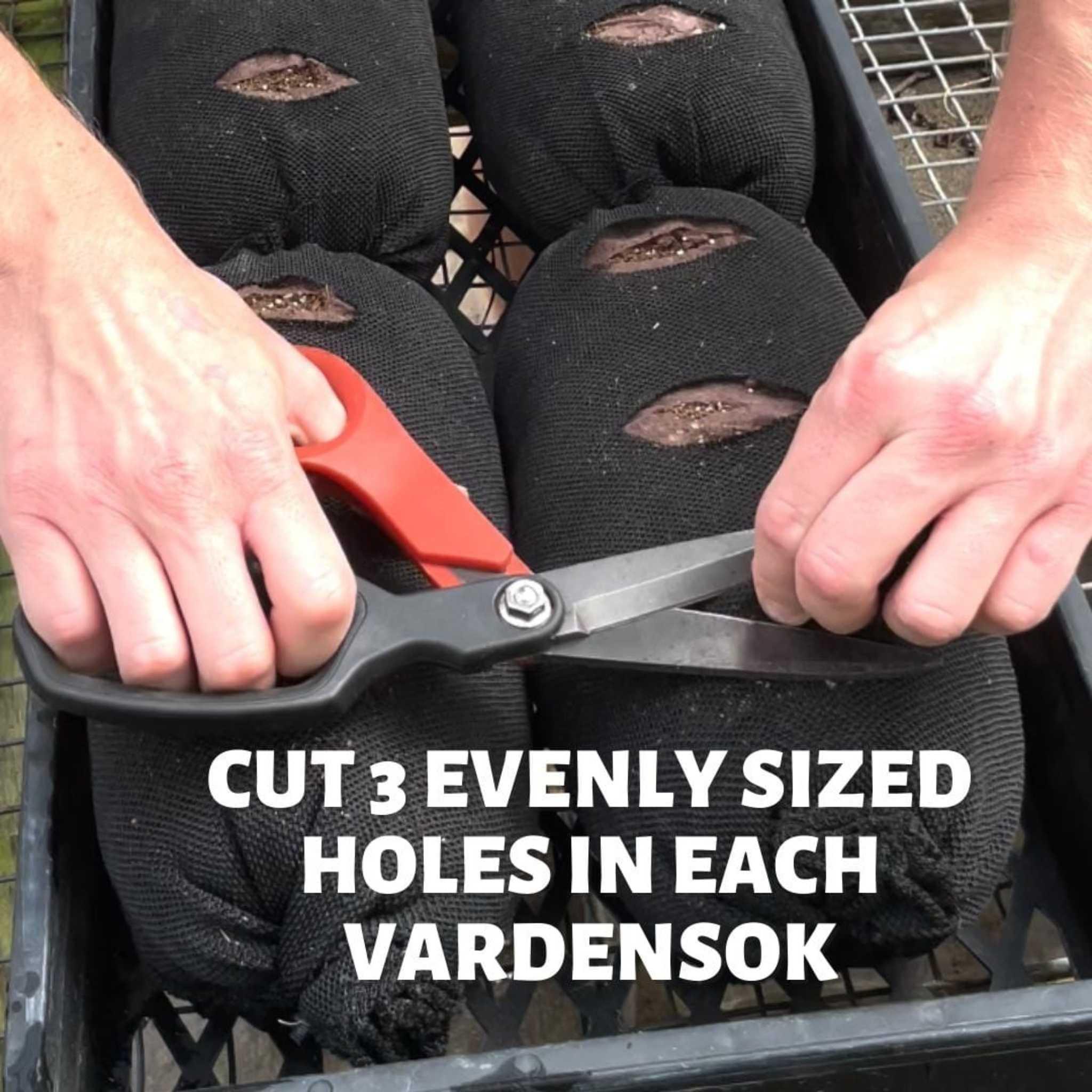 Bootstrap Farmer Varden™ Soil-Filled Vardensok - Green Vista Living