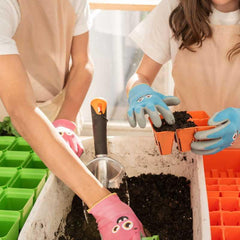 Bootstrap Farmer Classroom Seed Starting Bundle - Green Vista Living