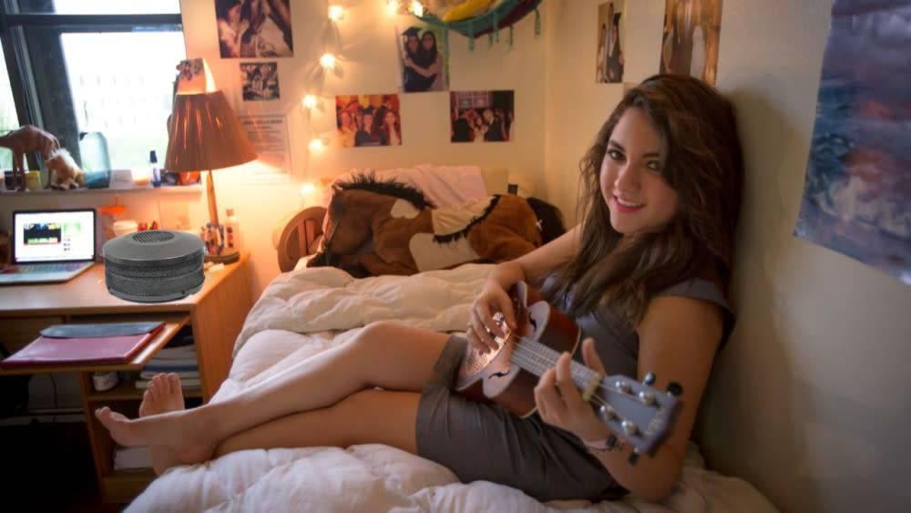 AllerAir - MobileAir Plus Desktop Air Purifier - Carbon & HEPA - Green Vista Living