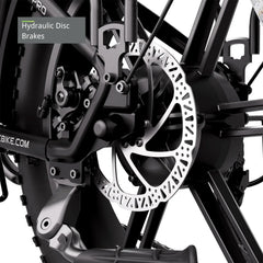 TST® Buddy Pro 20'' Folding Ebike