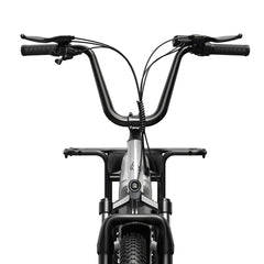 TST® Carrier 20'' Cargo Electric Bike
