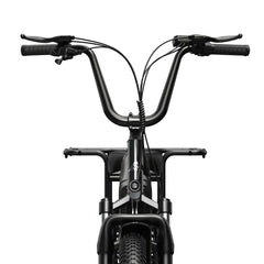 TST® Carrier 20'' Cargo Electric Bike