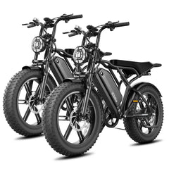 TST® Combo Sale R002 20" Full Suspension Moped-Style Ebike