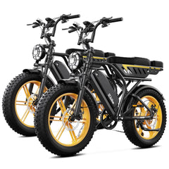 TST® Combo Sale R9 1500W Full-Suspension Moped Style Electric Bike