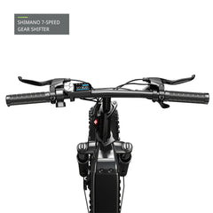 TST® Buddy Pro 20'' Folding Ebike
