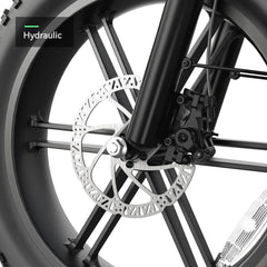 TST® Carrier 20'' Cargo Electric Bike