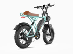 Movcan V60 Electric Bike - Green Vista Living