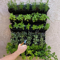 Bootstrap Farmer Varden™ Kitchen Garden - Green Vista Living