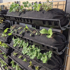 Bootstrap Farmer Varden™ Trays - Green Vista Living