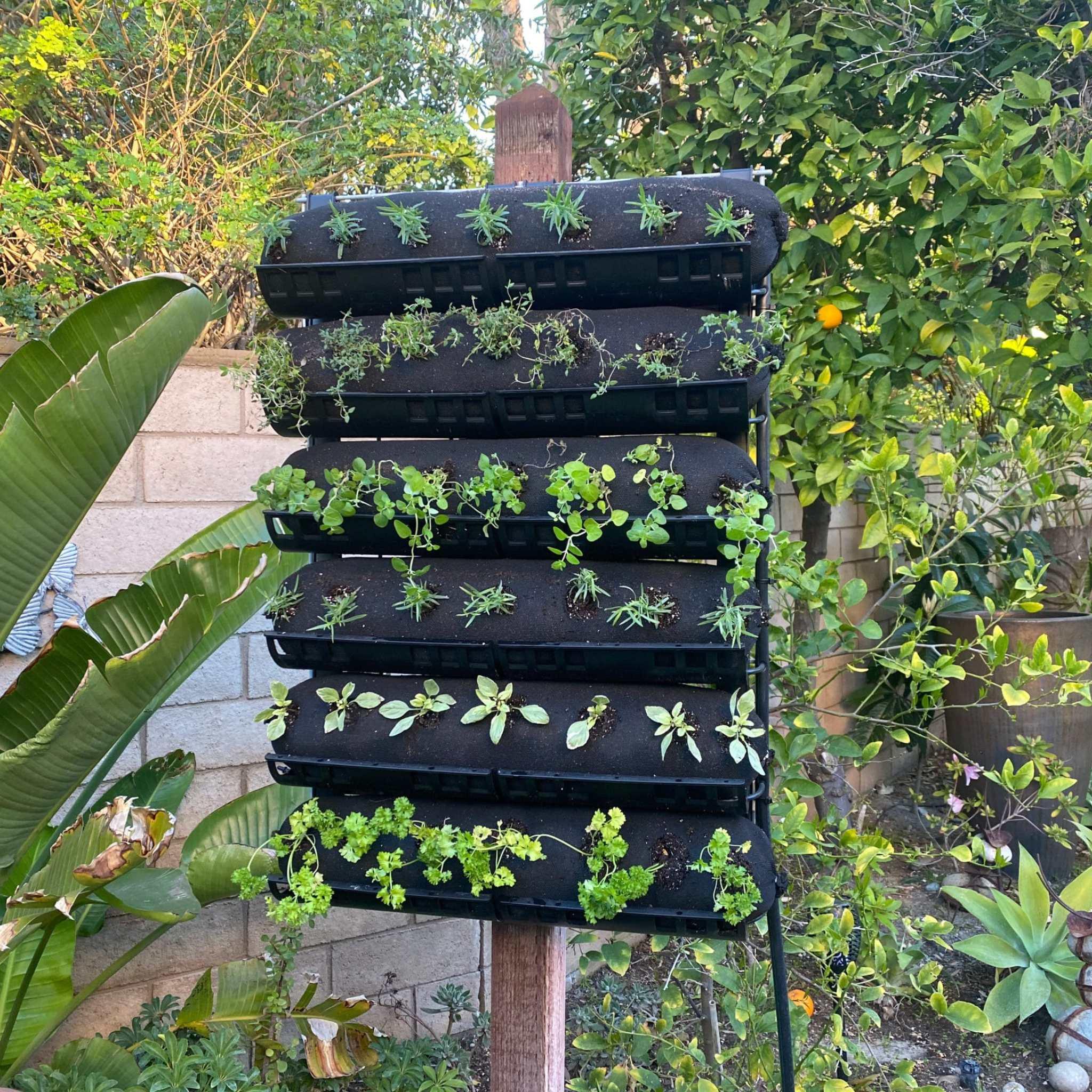 Bootstrap Farmer Varden™ Trays - Green Vista Living