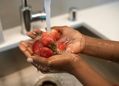 Sink Revitalizer for RO Systems - Green Vista Living