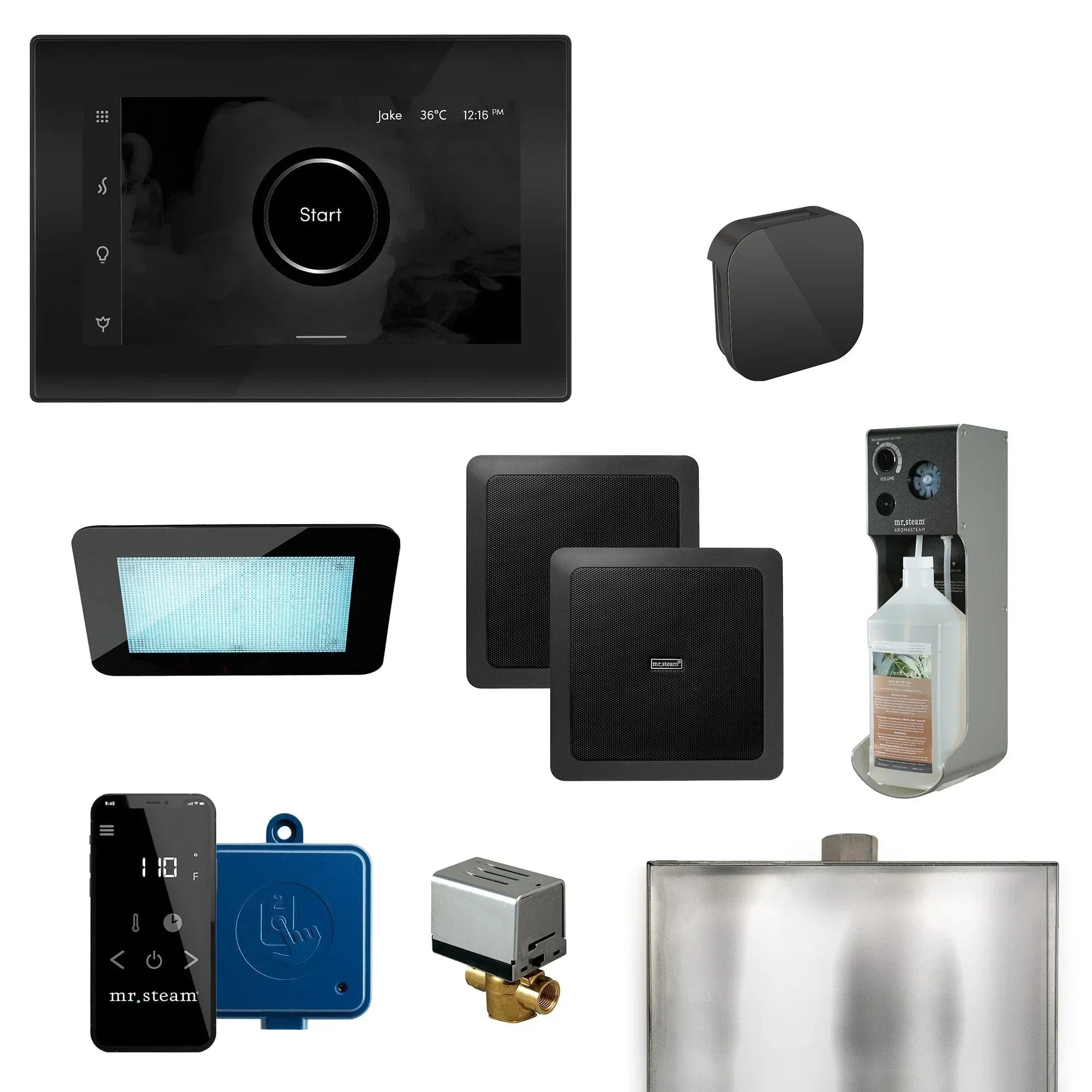Mr. Steam XDream Programmable Steam Generator Control Kit with iSteamX Control and Aroma Glass Steamhead - Green Vista Living