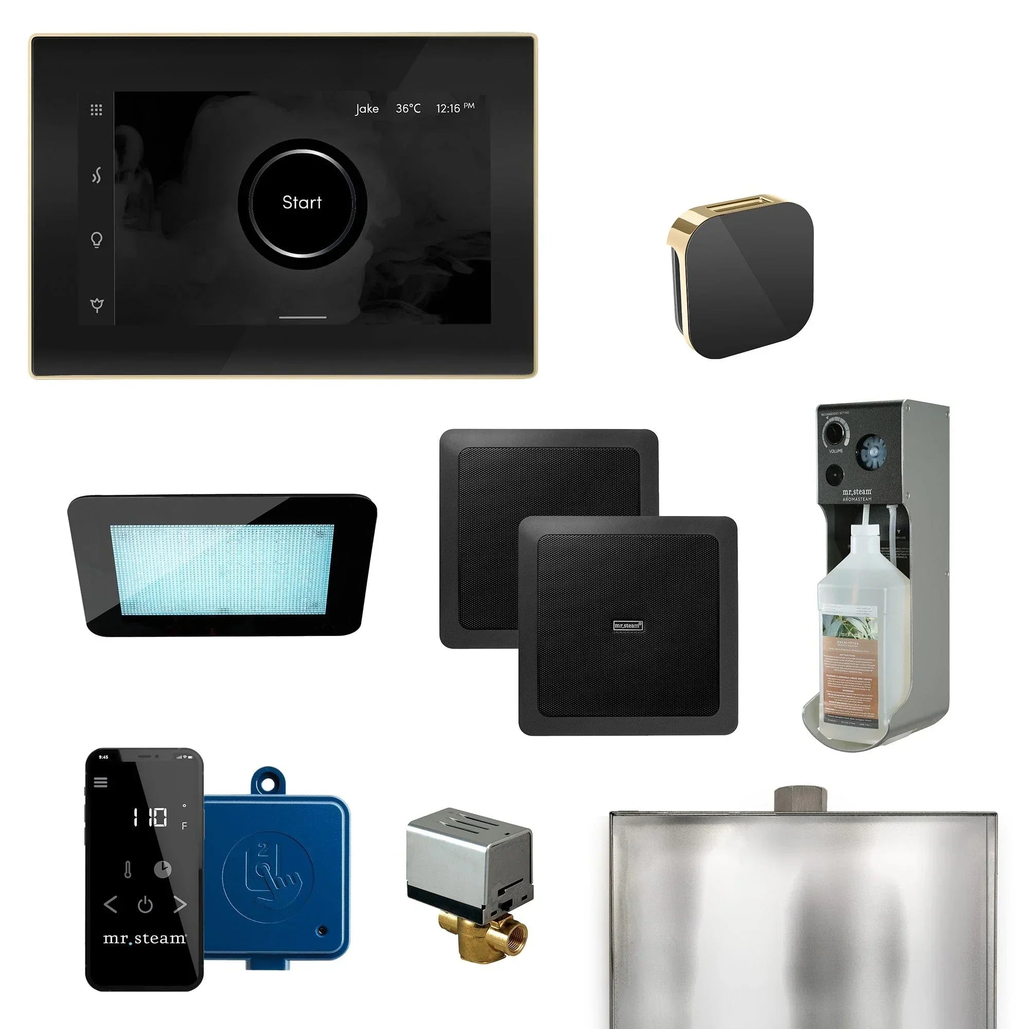 Mr. Steam XDream Programmable Steam Generator Control Kit with iSteamX Control and Aroma Glass Steamhead - Green Vista Living