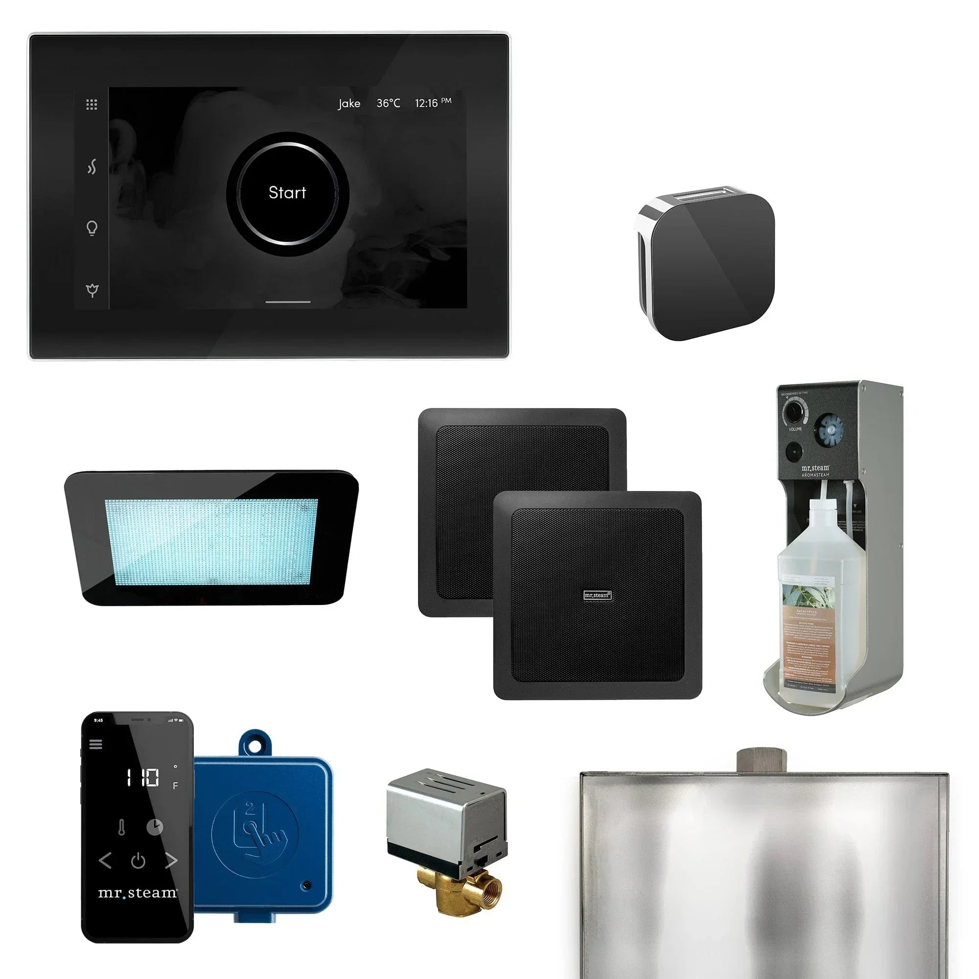 Mr. Steam XDream Programmable Steam Generator Control Kit with iSteamX Control and Aroma Glass Steamhead - Green Vista Living