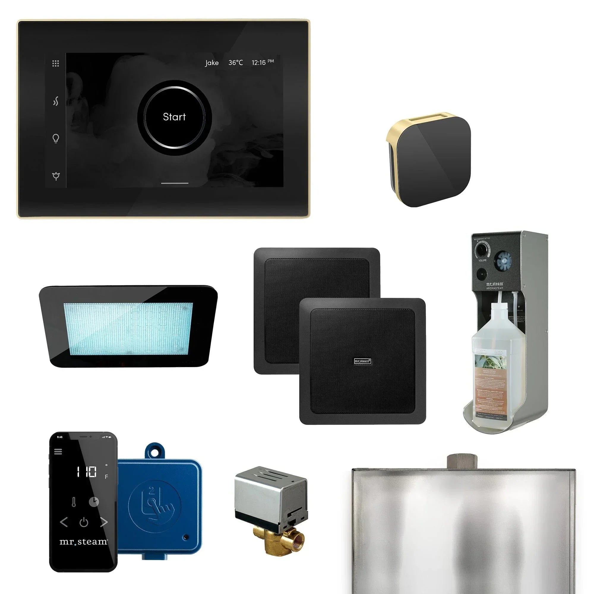 Mr. Steam XDream Programmable Steam Generator Control Kit with iSteamX Control and Aroma Glass Steamhead - Green Vista Living