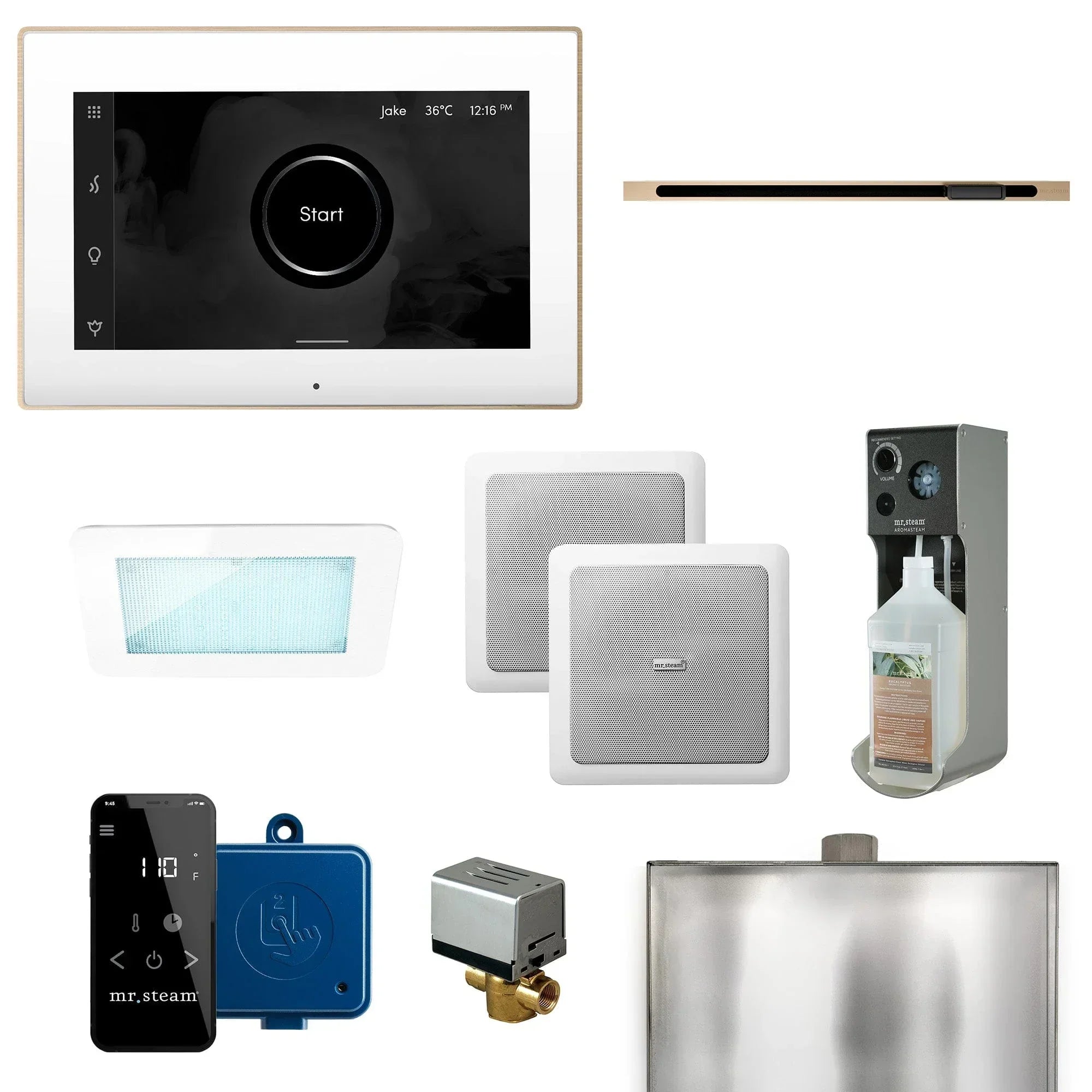 Mr. Steam XDream Linear Programmable Steam Generator Control Kit with iSteamX Control and Linear Steamhead - Green Vista Living