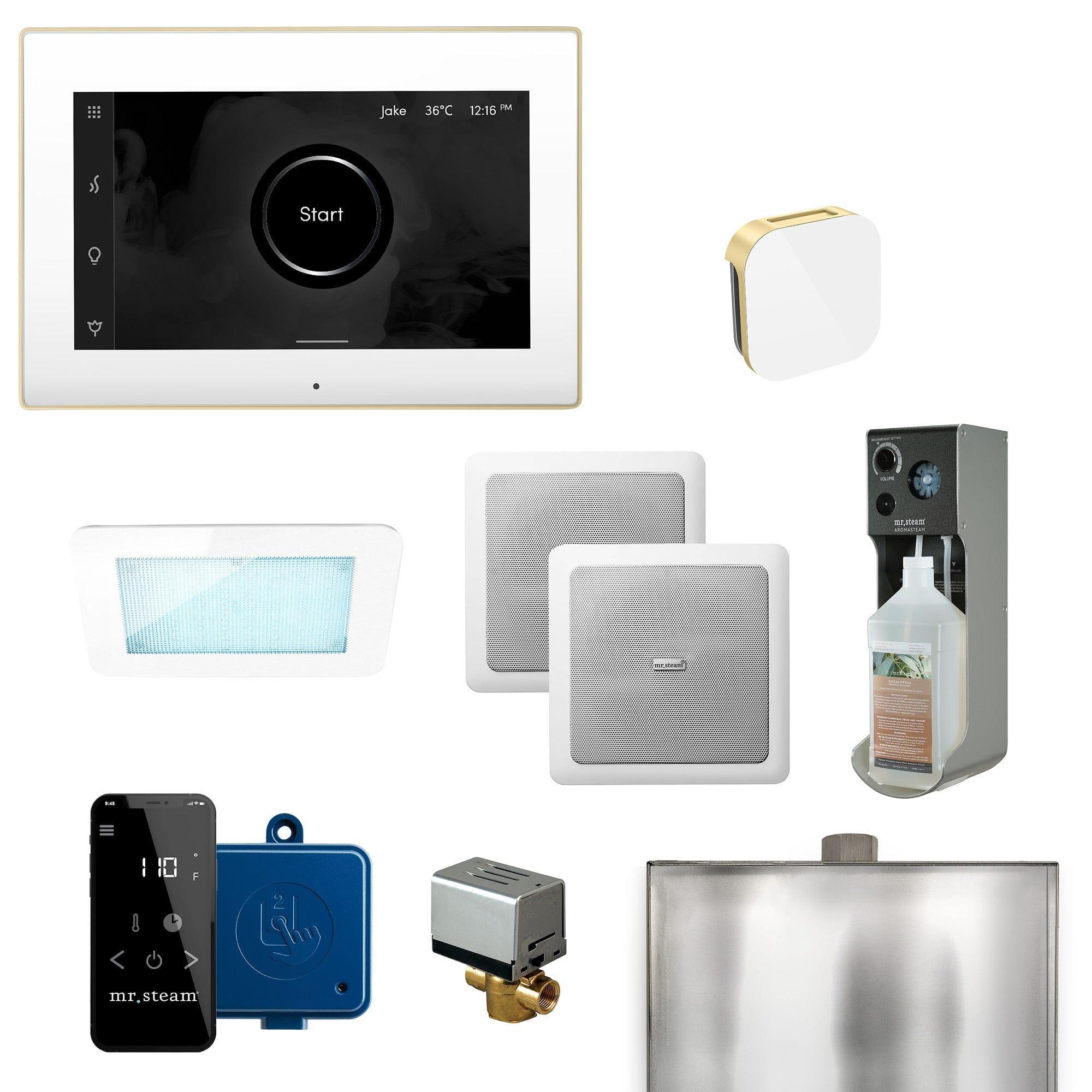 Mr. Steam XDream Programmable Steam Generator Control Kit with iSteamX Control and Aroma Glass Steamhead - Green Vista Living