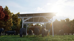 Chiko USA Premier Residential Steel Carport | Black | Solar Pergola | Solar Gazebo - Green Vista Living