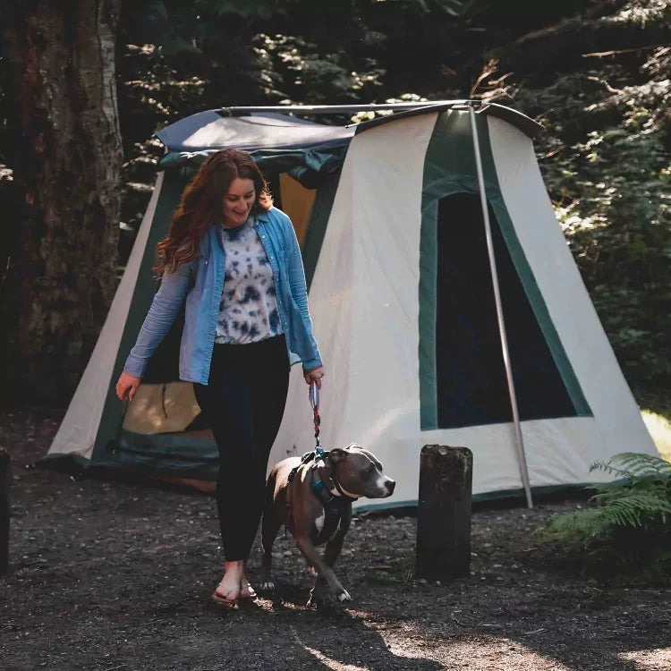 10'x10' Prota Canvas Tent - Green Vista Living