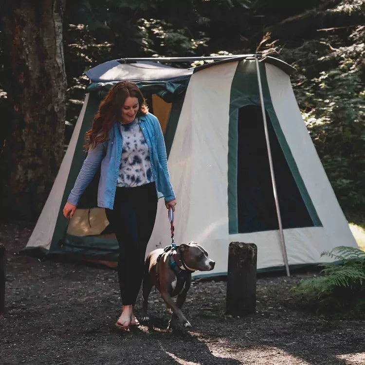 10'x10' Prota Canvas Tent - Green Vista Living