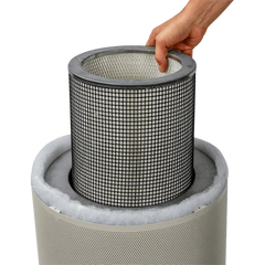 Airpura G-Series Air Purifiers for Odor-Free Carbon for Chemically Sensitive (MCS) - G600 and G700 Airpura