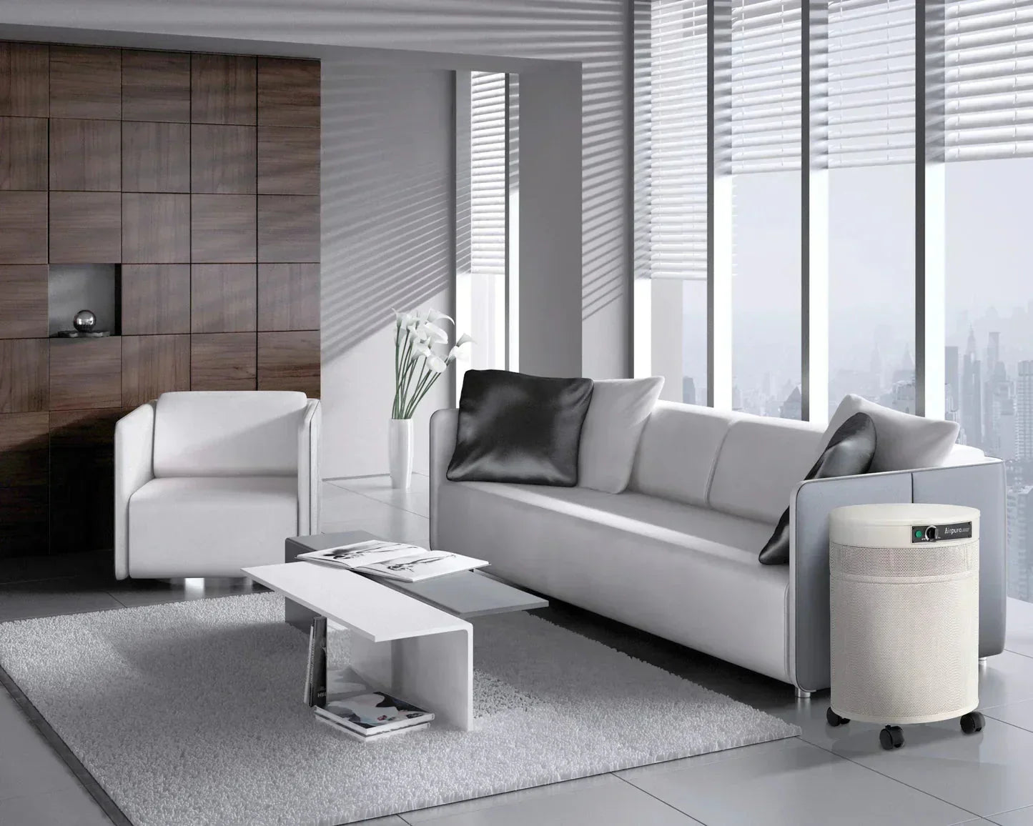 Airpura G-Series Air Purifiers for Odor-Free Carbon for Chemically Sensitive (MCS) - G600 and G700 Airpura