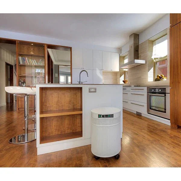 Airpura R-Series - Best General Cleaning All Purpose Air Purifier - R600 and R700 Airpura