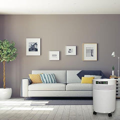 Airpura R-Series - Best General Cleaning All Purpose Air Purifier - R600 and R700 Airpura
