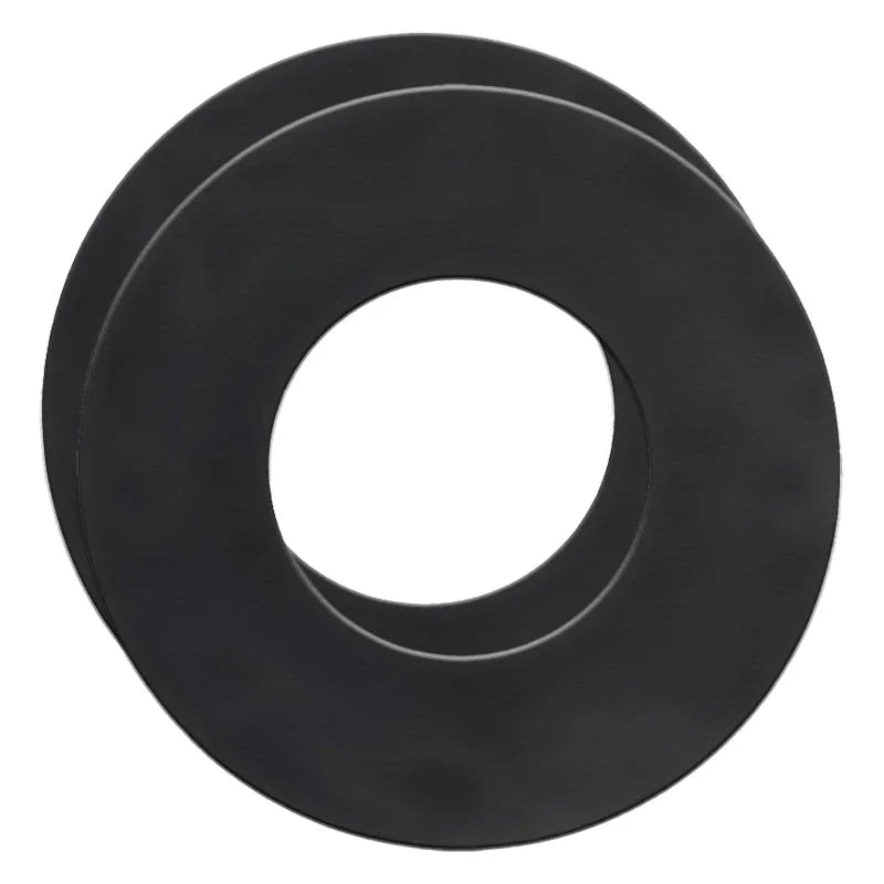 Airpura Replacement Felt Gaskets - Set of 2 Airpura