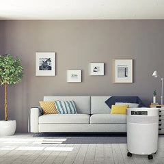 Airpura T700DLX Air Purifier – Industrial Strength Chemical & Tobacco Smoke Filtration Airpura